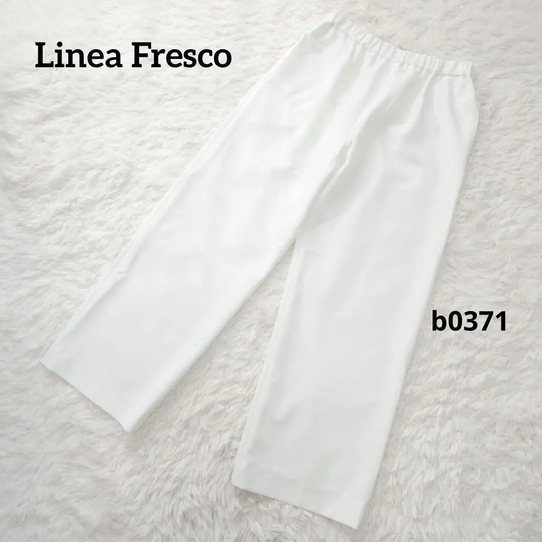 [Good condition] Linea Fresco Straight Pants Casual Made in Japan Elastic Waist