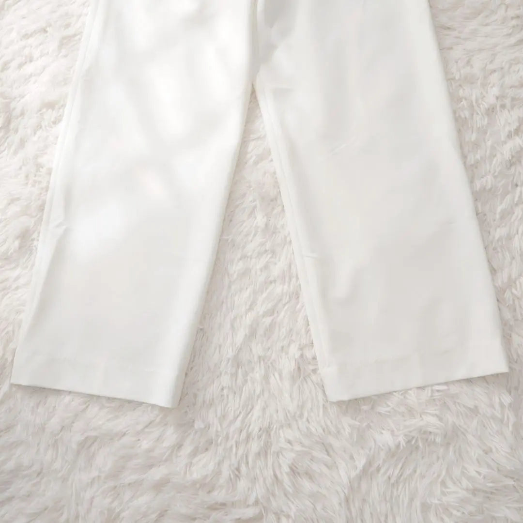 [Good condition] Linea Fresco Straight Pants Casual Made in Japan Elastic Waist