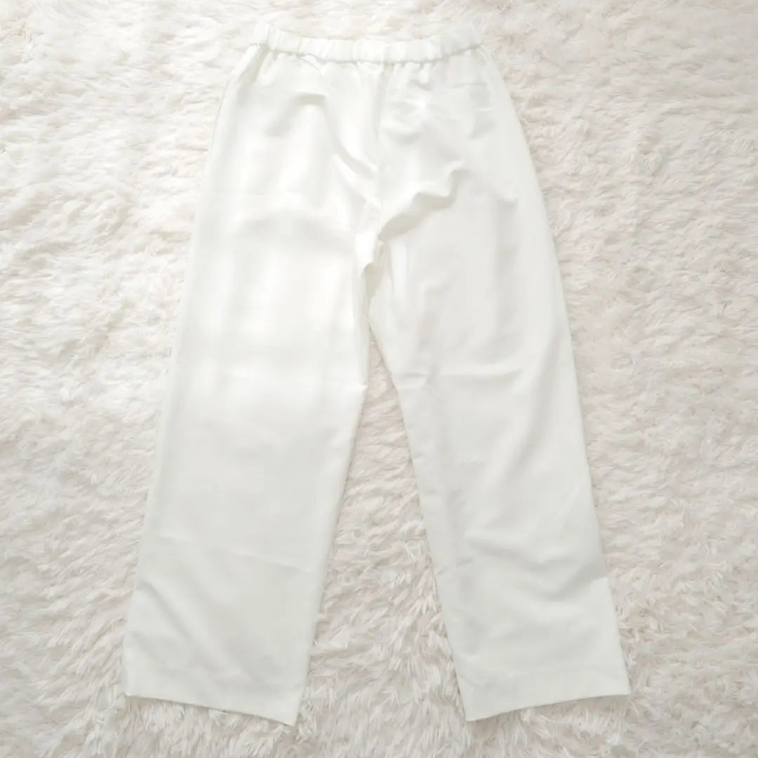 [Good condition] Linea Fresco Straight Pants Casual Made in Japan Elastic Waist