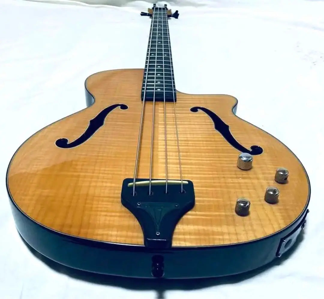 Epiphone Zenith Bass Sennis Eleaco Base Guarantee