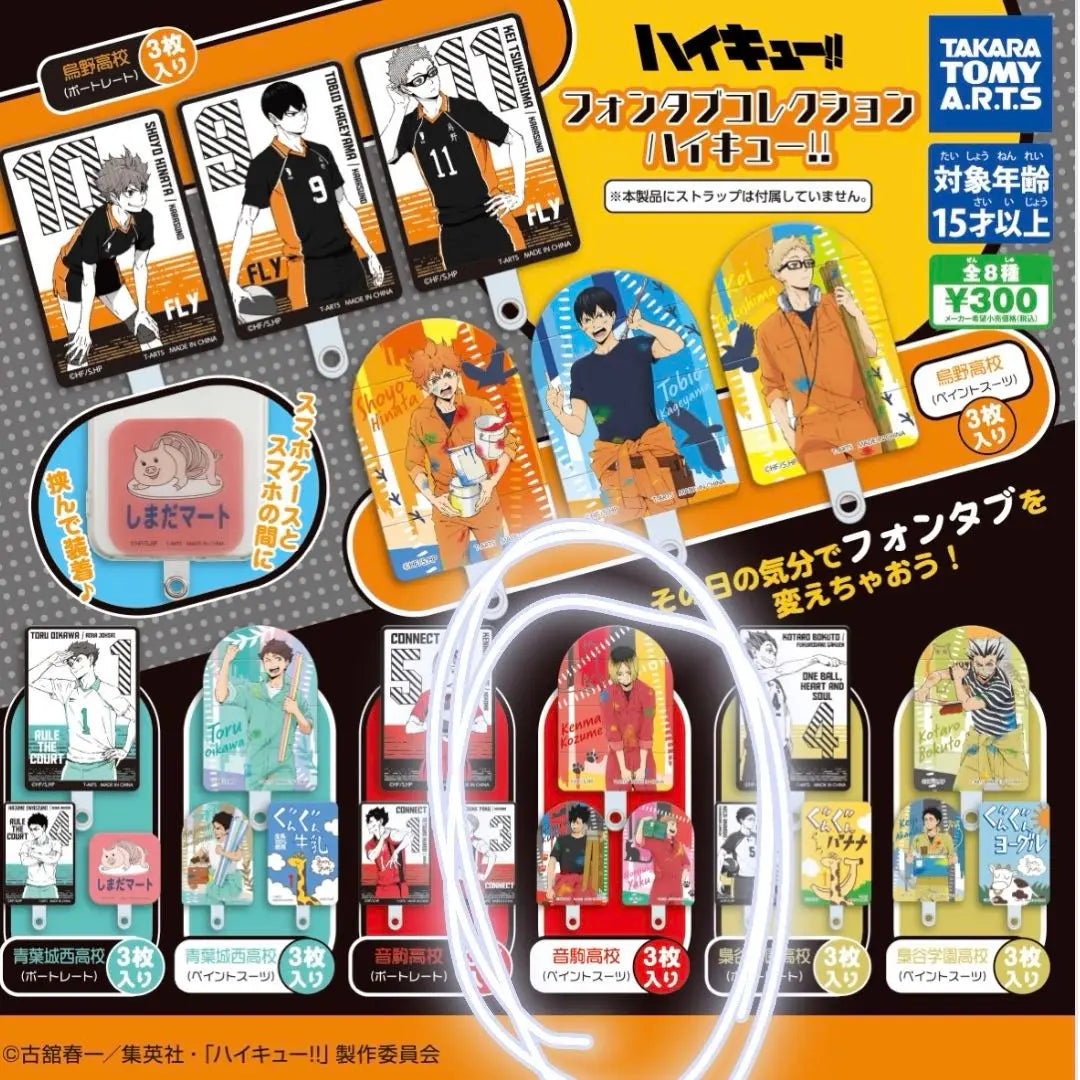 Haikyu Phone Tab Collection