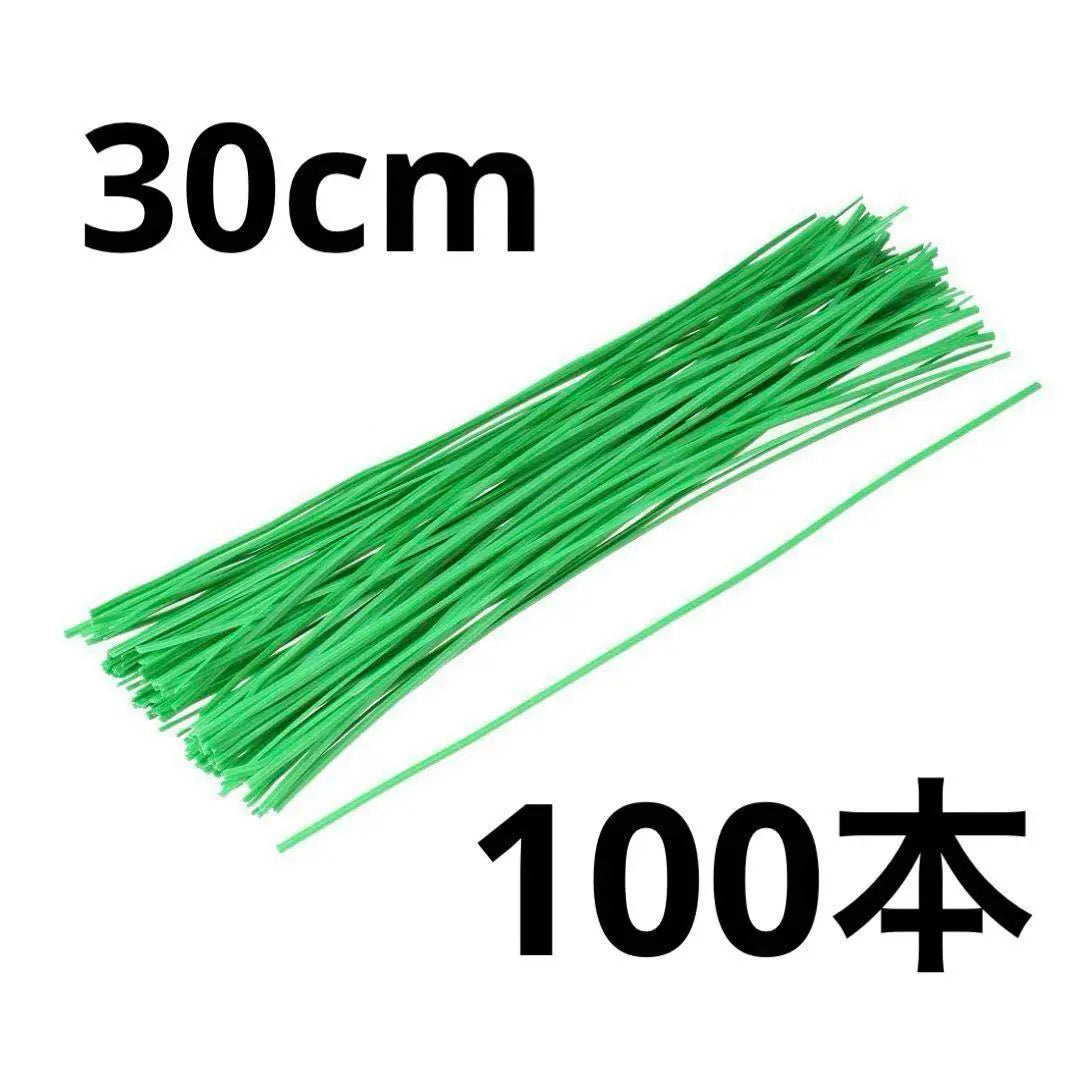 ★ Binding Soft Wire Cable Tie Vinyl Tie 30 cm Gardening 100 Pieces