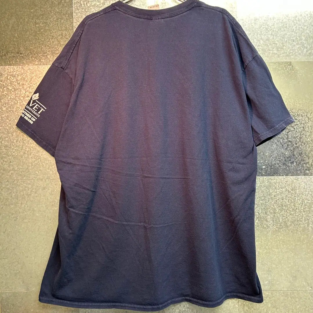 USA used clothes T -shirt 2XL size Gildan navy bear bear | USA古着Tシャツ 2XLサイズ GILDAN ネイビー　熊　クマ