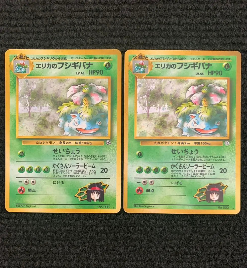 Pokemon Cards - Old Back - Erika's Fujigibana