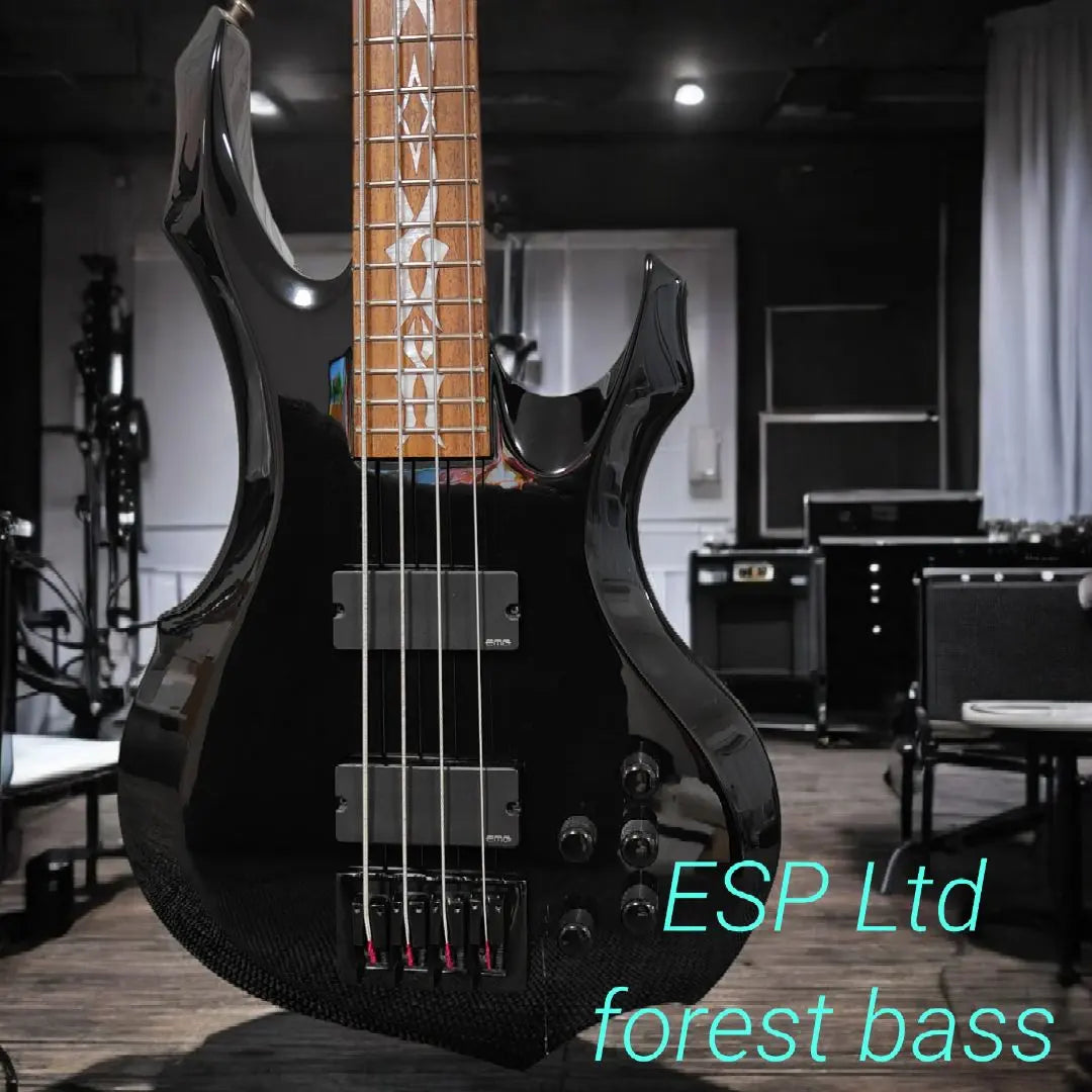 Bajo eléctrico de mástil pasante DF-404 de ESP Ltd