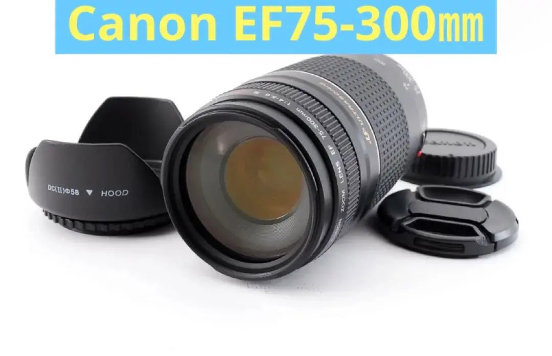 Telephoto lens/impressive/Canon/Canon EF75-300mm USM