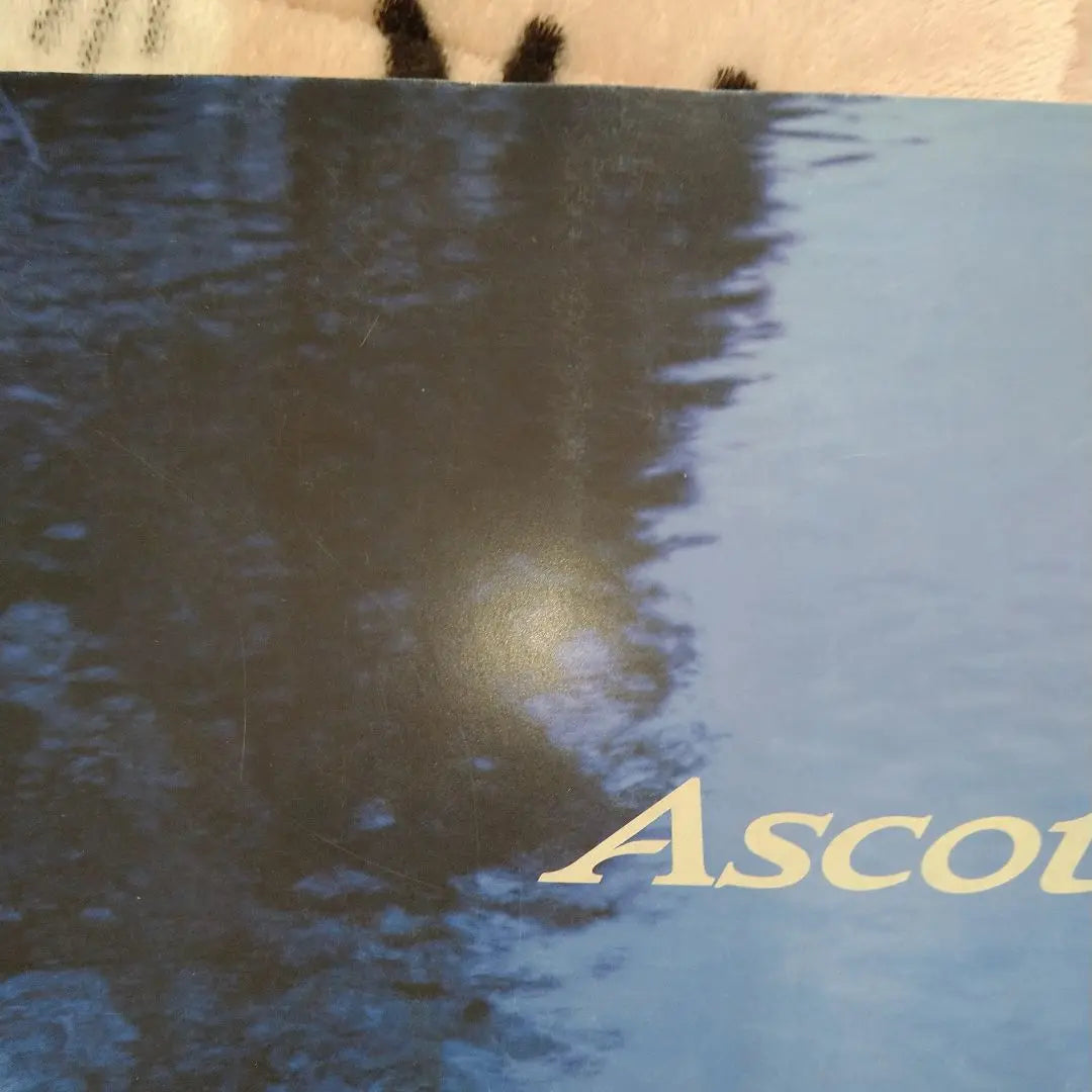 Honda Ascot Catalog