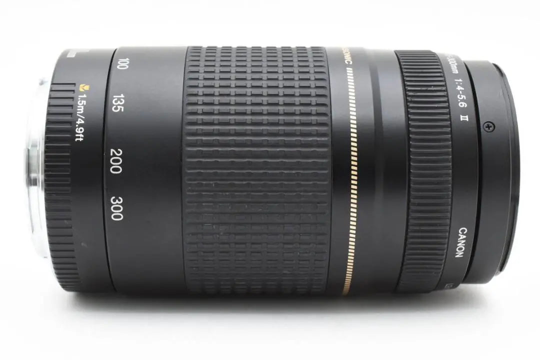 Canon EF 75-300mm f4-5.6 II USM AA2964