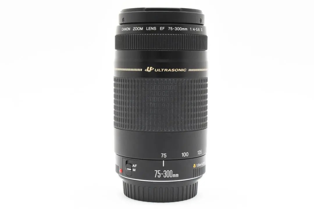 Canon EF 75-300mm f4-5.6 II USM AA2964