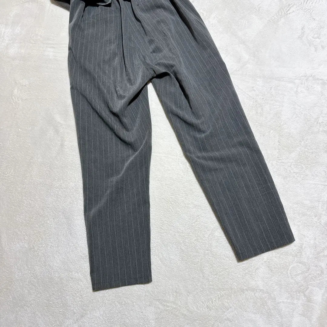 [Alceeve] All-in-one overalls, gray, striped pants