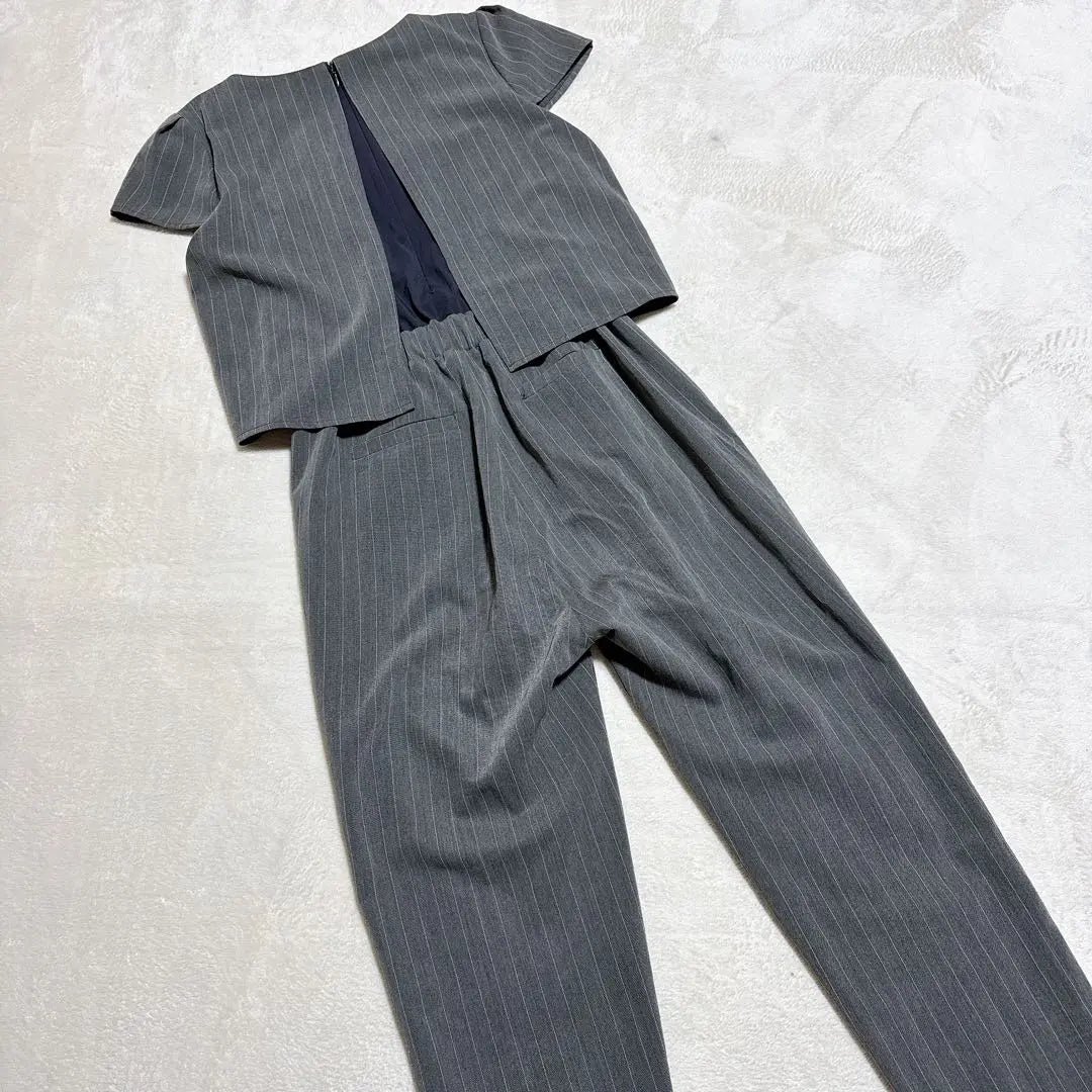 [Alceeve] All-in-one overalls, gray, striped pants