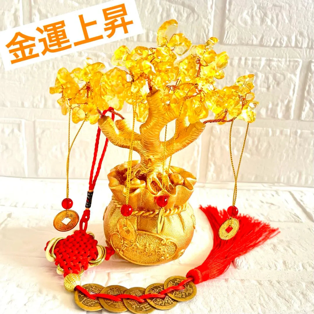 Ornament that brings money luck Money tree Interior Entrance Feng Shui item Increases money luck