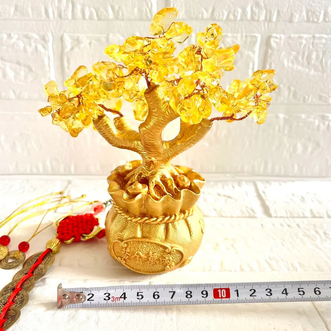 Ornament that brings money luck Money tree Interior Entrance Feng Shui item Increases money luck