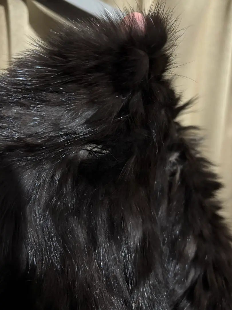 [Good condition] High-quality fur SOBOL Real fur Sable Charcoal Brown