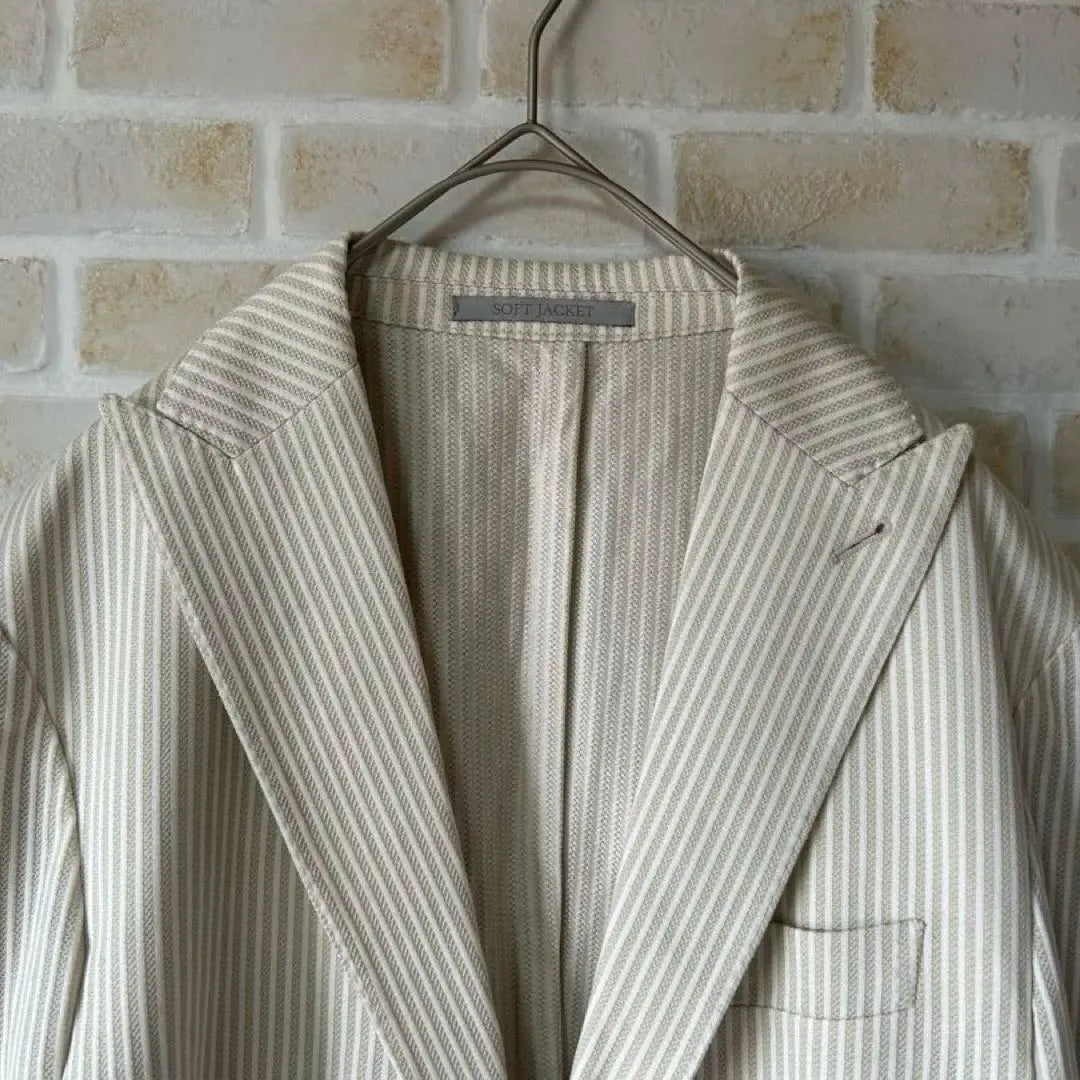 a0005 [Eleventi] Jacket Men's Jacket Striped Pattern Elegant