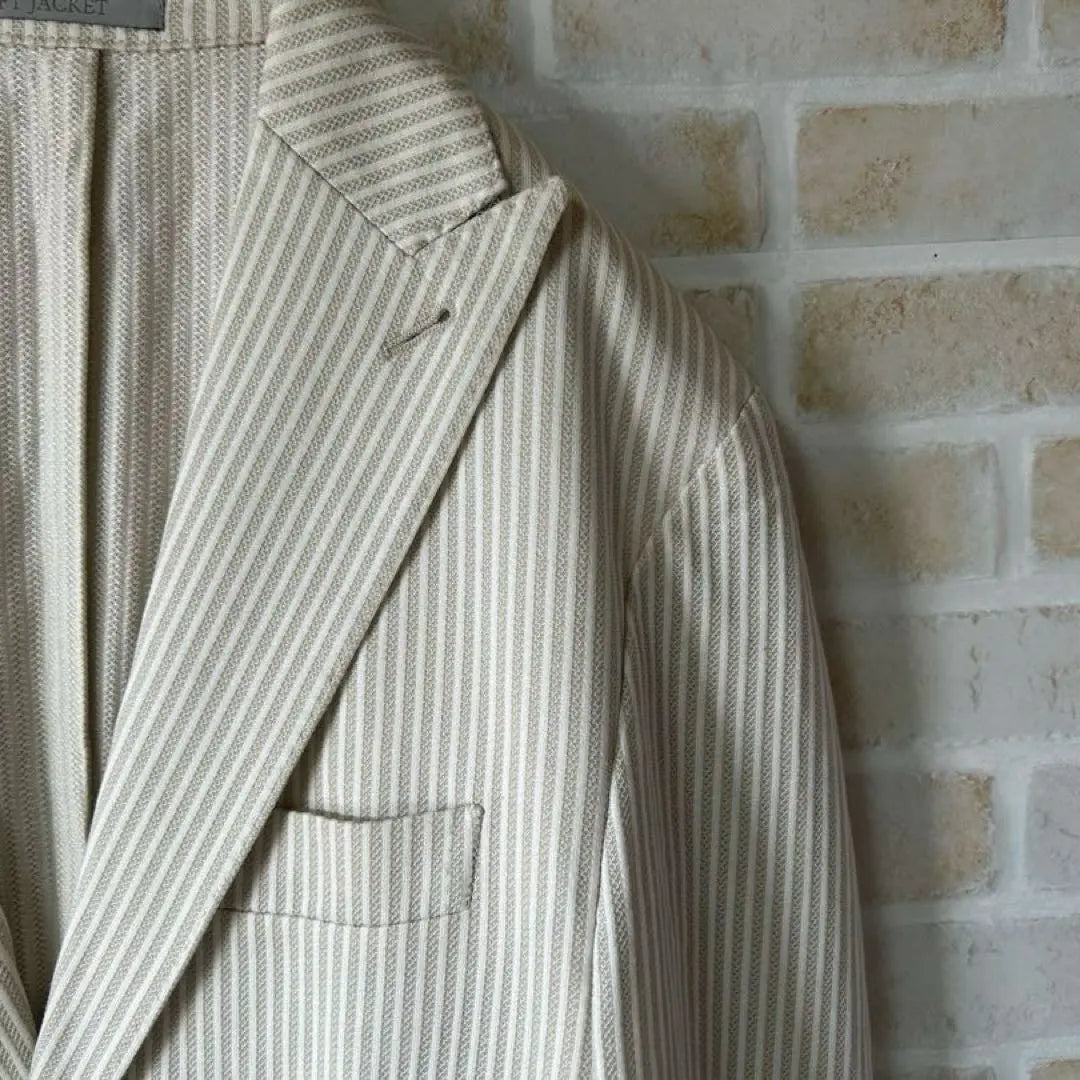 a0005 [Eleventi] Jacket Men's Jacket Striped Pattern Elegant