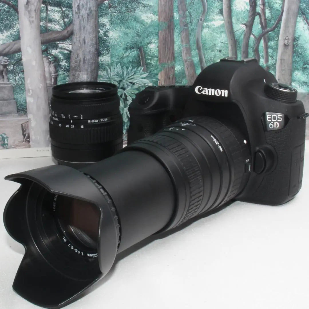 ☆First full size☆Canon EOS 6D super telephoto double lens set