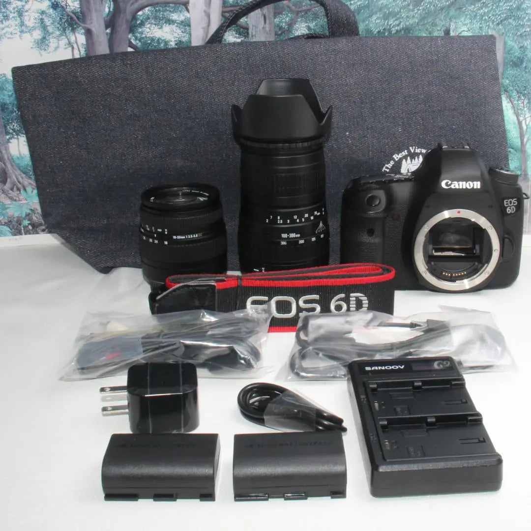 ☆First full size☆Canon EOS 6D super telephoto double lens set