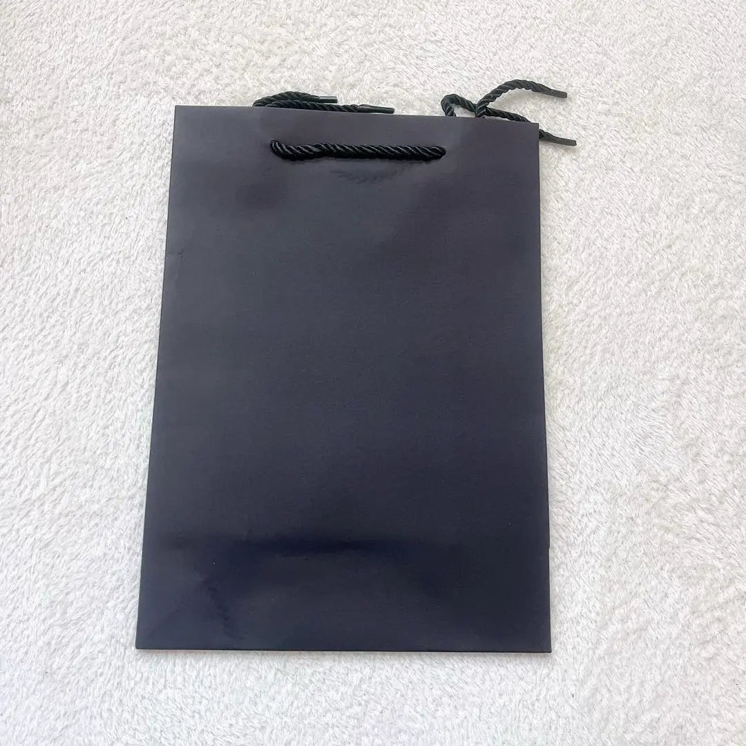 Paper bag gift bag 20*28*10cm black/10 pieces with gift wrap