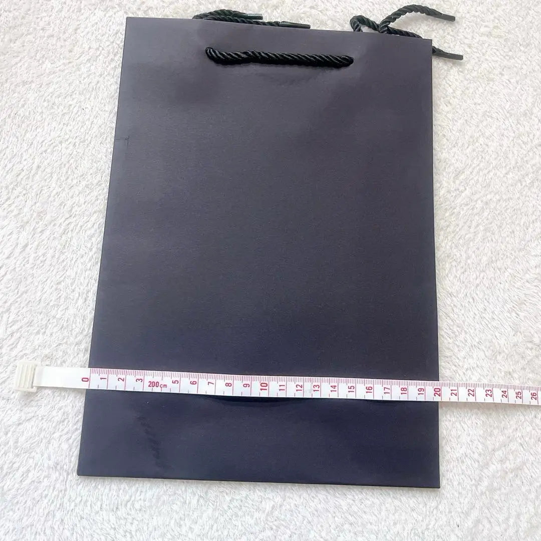 Paper bag gift bag 20*28*10cm black/10 pieces with gift wrap