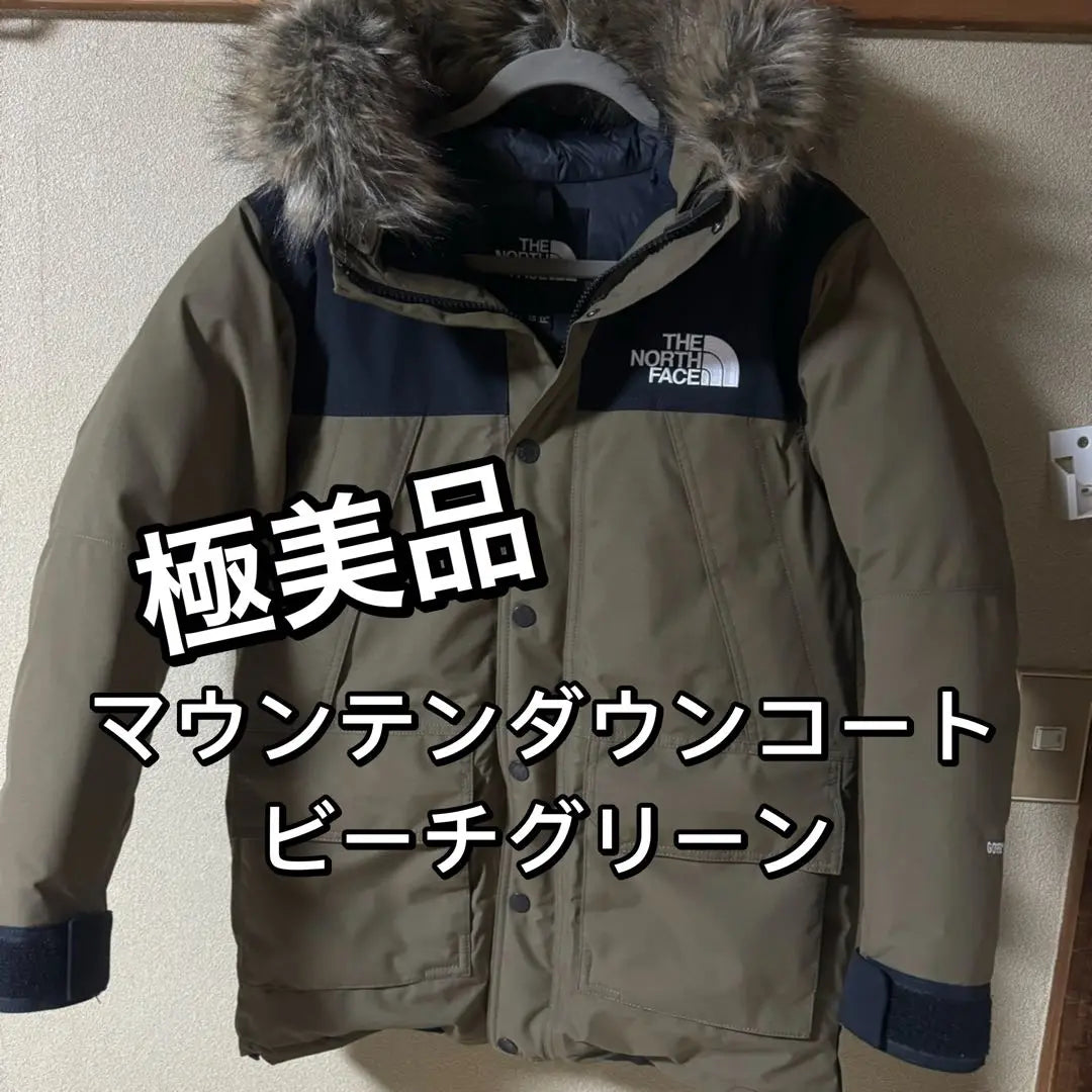 [Good condition] North Face Mountain Down Coat