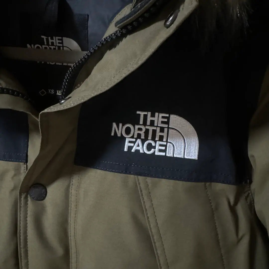 [Good condition] North Face Mountain Down Coat