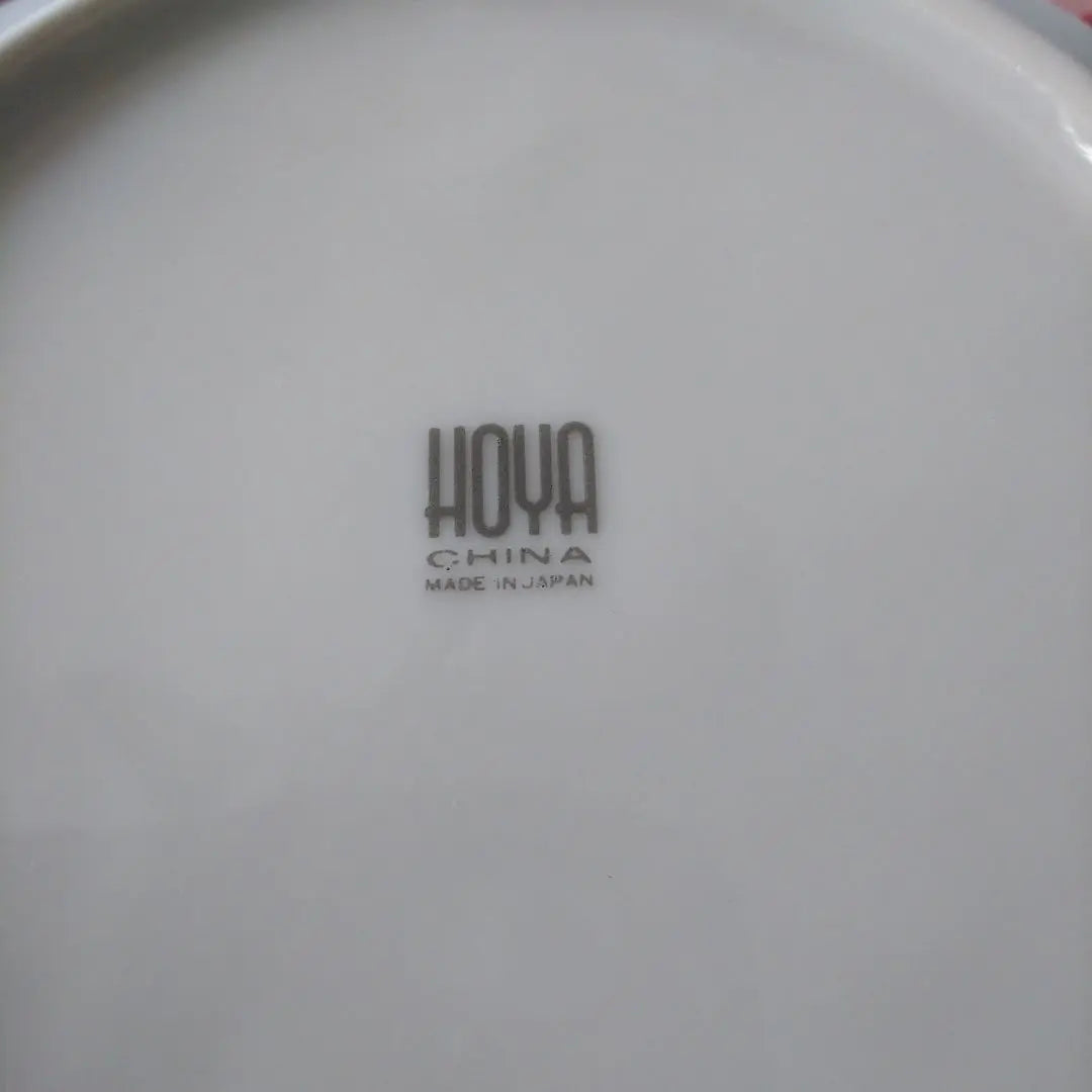 HOYA White Ceramic Plate 5 Pieces Set Soup Plate