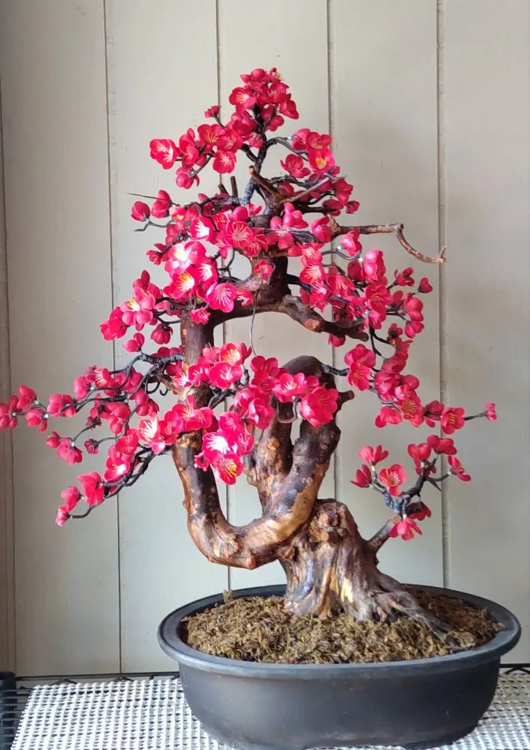 Craft Bonsai Red Plum Approx. 50cm