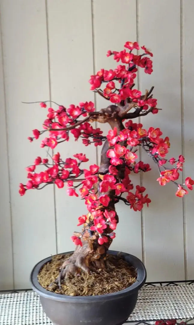 Craft Bonsai Red Plum Approx. 50cm