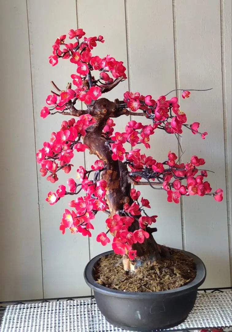 Craft Bonsai Red Plum Approx. 50cm