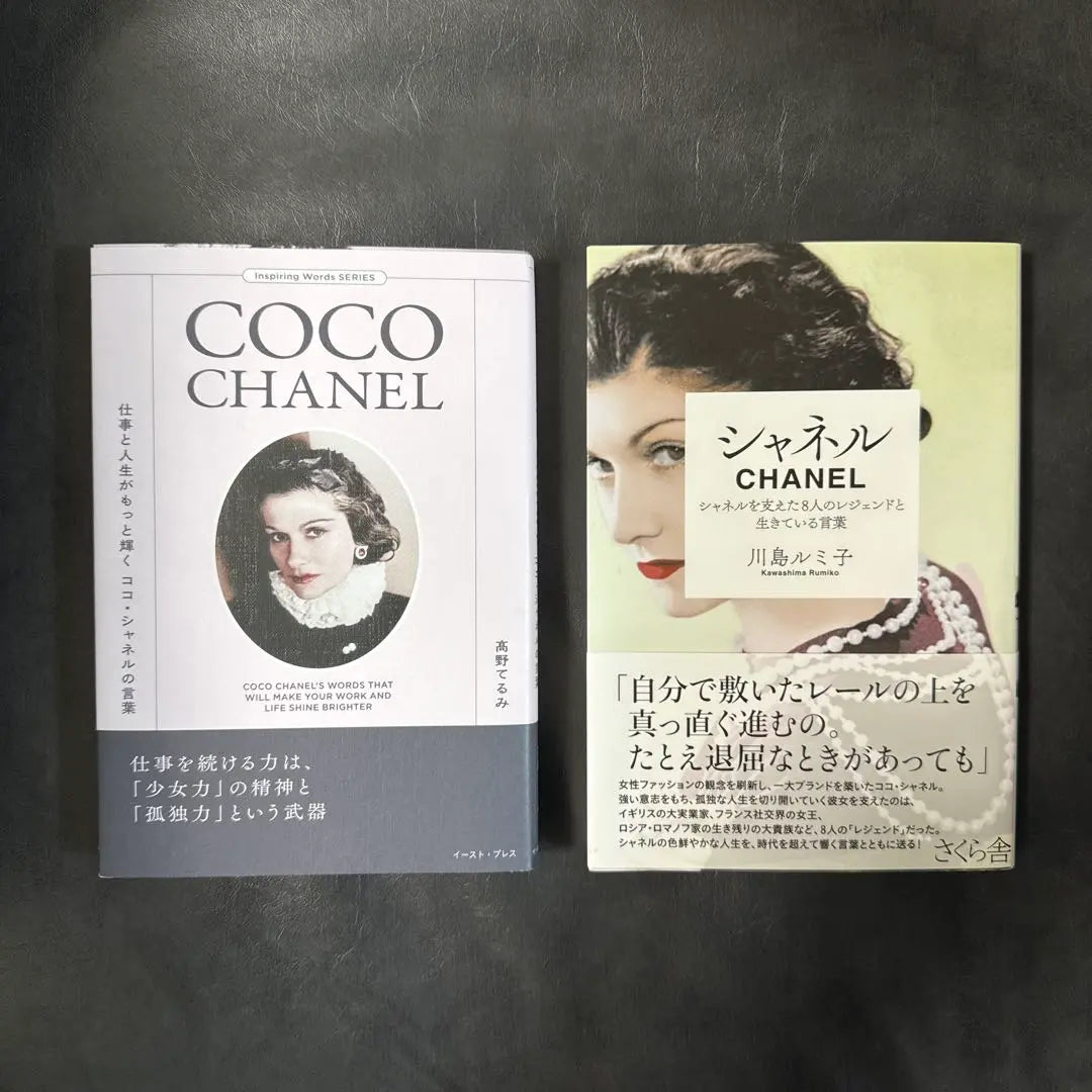 Chanel Book Set of 2