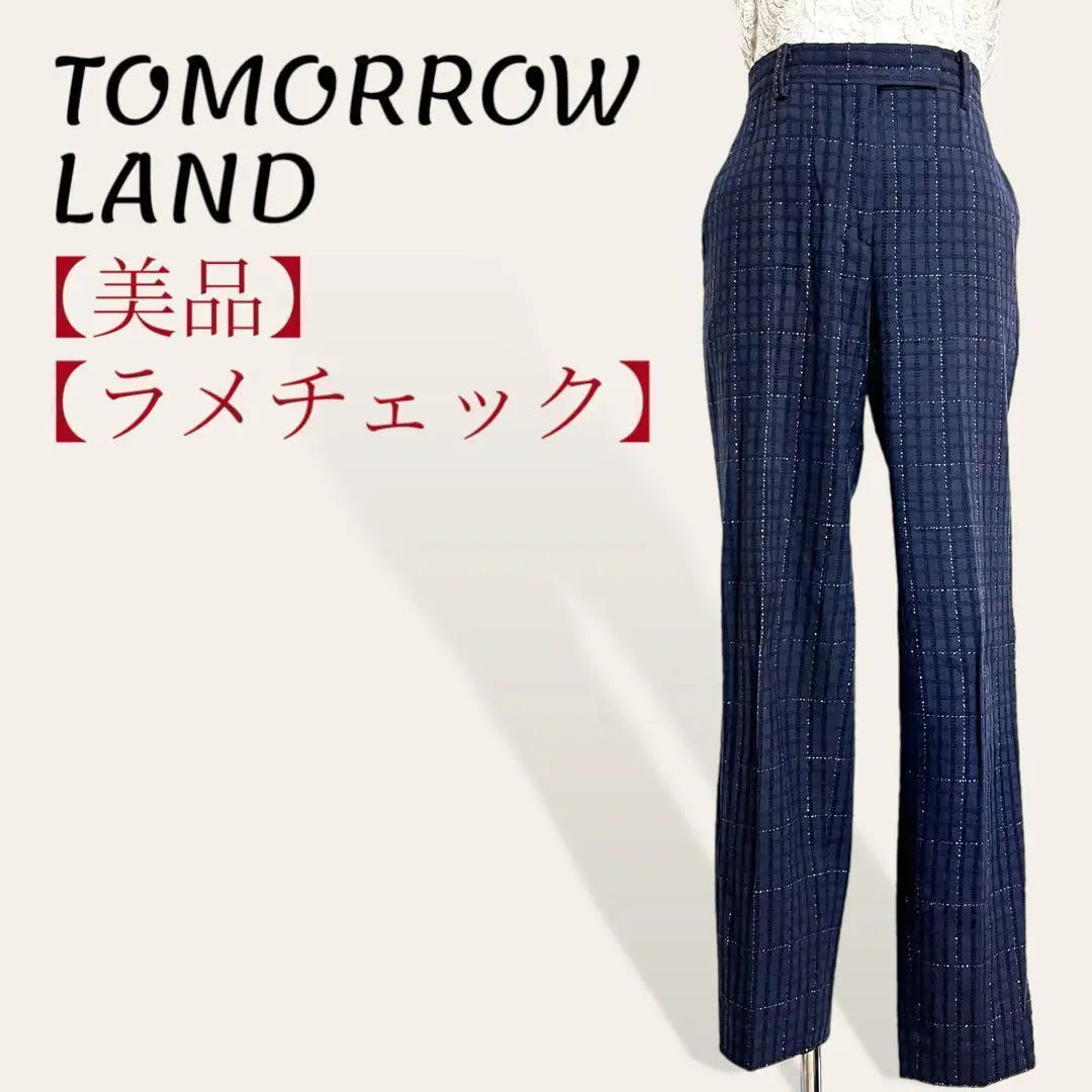 ❤️Good condition Tomorrowland Navy Check Glitter Embroidered Tapered Pants 36/S | ❤️美品 トゥモローランド ネイビー チェックラメ刺繍テーパードパンツ 36/S