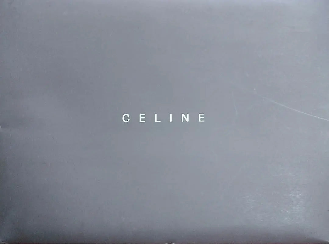 CELINE Celine Wool Blanket with Cashmere | CELINEセリーヌ カシミヤ入りウール毛布