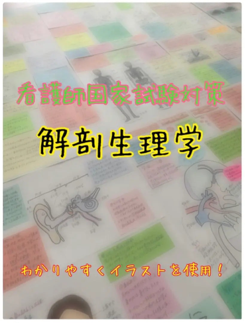 Summary price! Nurse national exam preparation Mass sticky card memorization card Anatomy physiology sticky sticky notebook