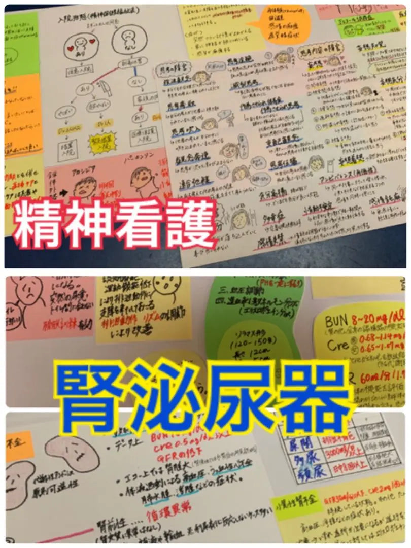 Summary price! Nurse national exam preparation Mass sticky card memorization card Anatomy physiology sticky sticky notebook