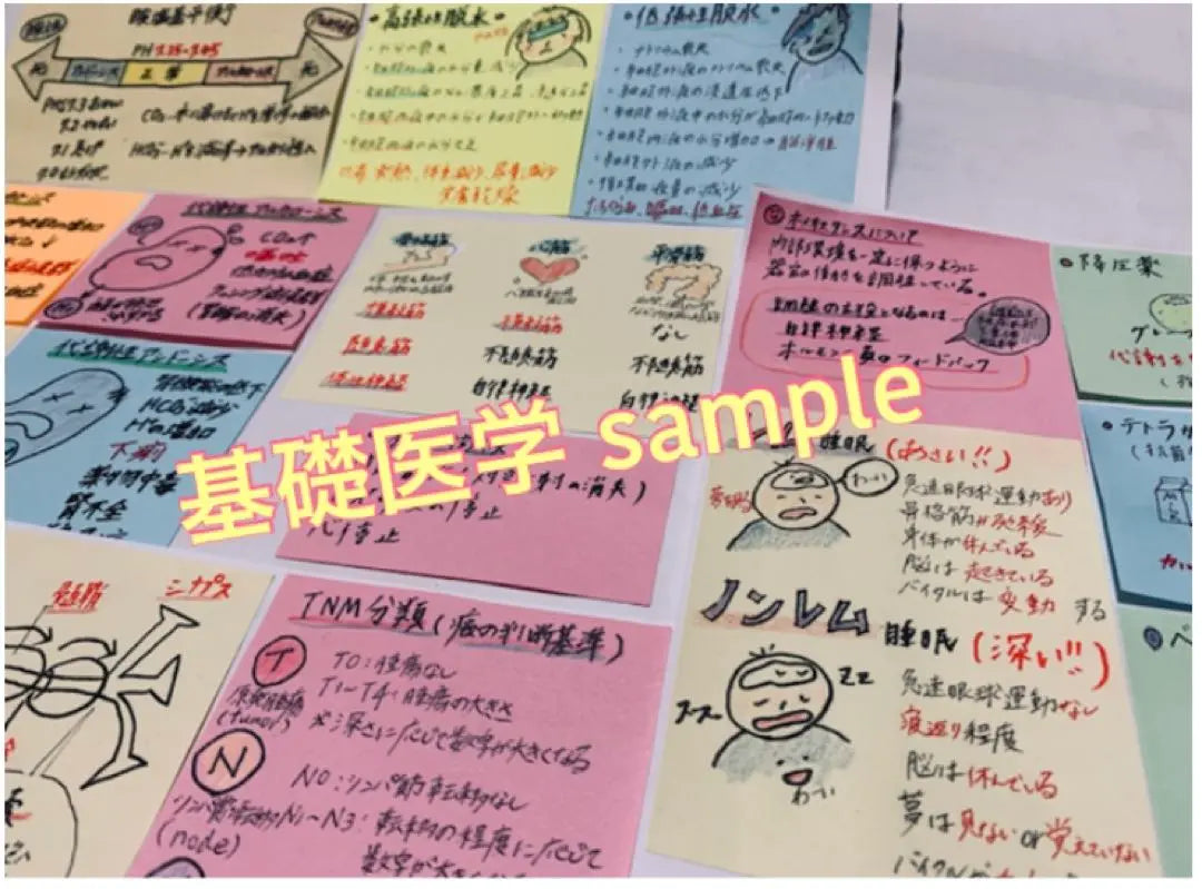 Summary price! Nurse national exam preparation Mass sticky card memorization card Anatomy physiology sticky sticky notebook