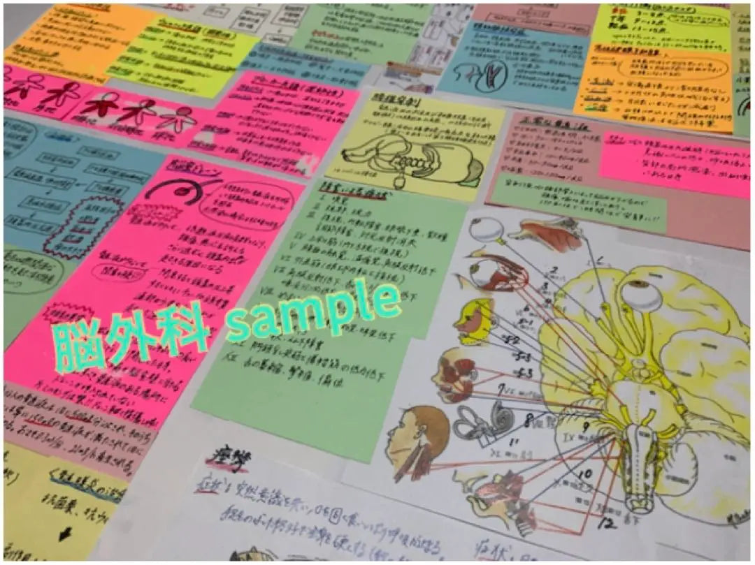 Summary price! Nurse national exam preparation Mass sticky card memorization card Anatomy physiology sticky sticky notebook