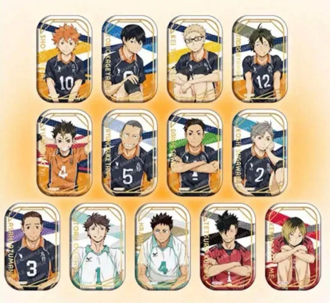 [New, unopened] Haikyu! ! Square can badge, sitting copyright, Seven Net only