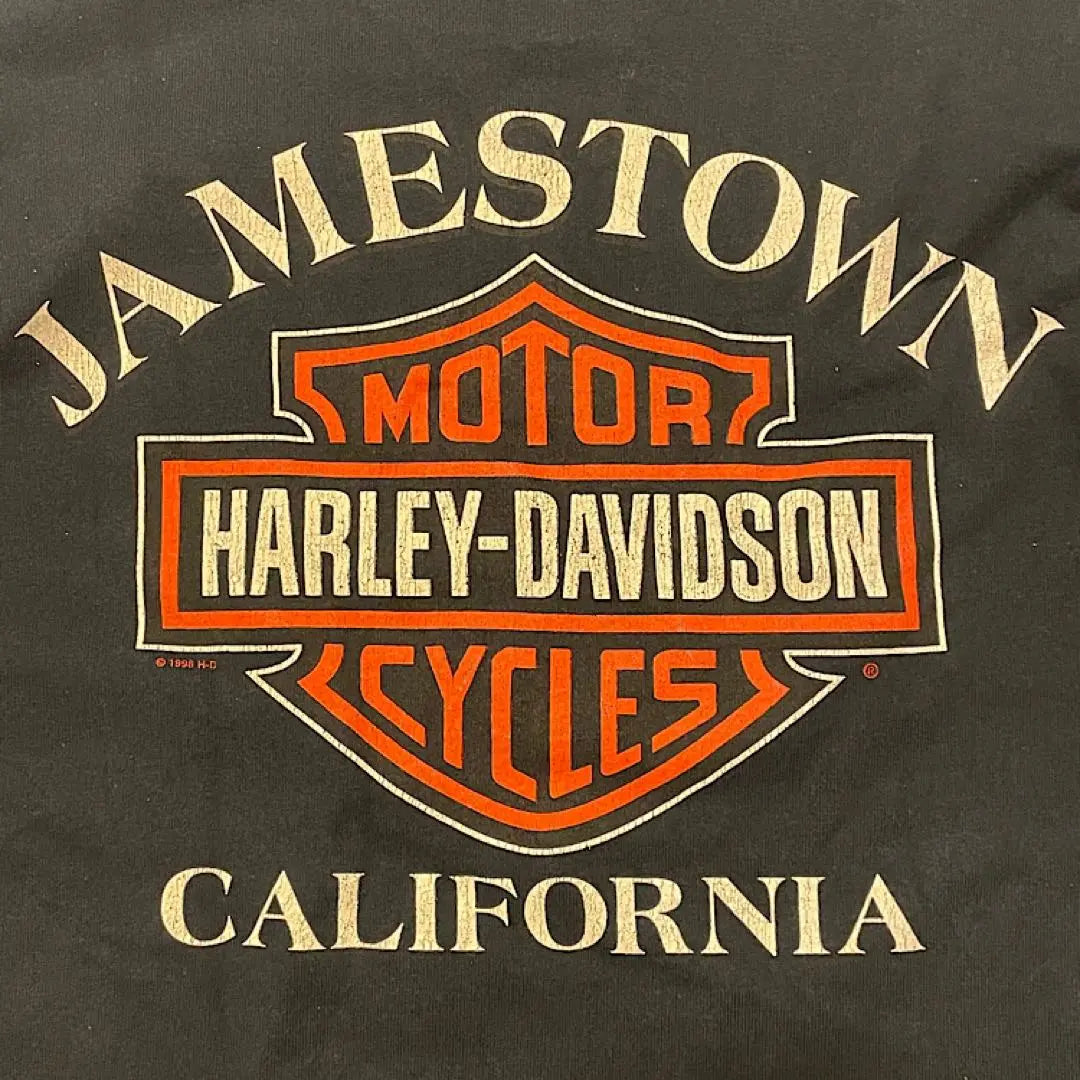 Harley Davidson de los 90 Harry Styles con camiseta vintage Ron T | Años 90