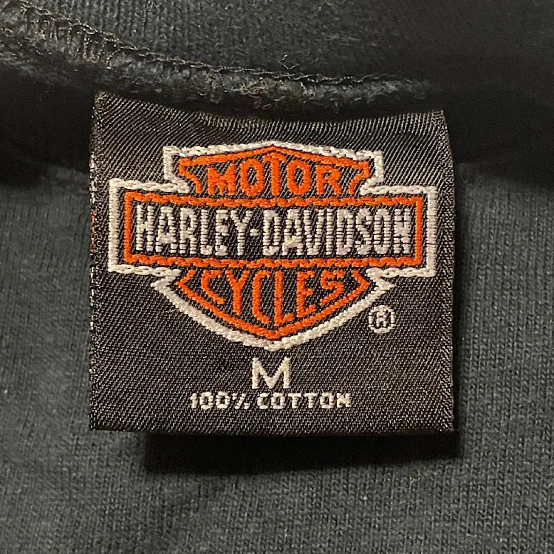 Harley Davidson de los 90 Harry Styles con camiseta vintage Ron T | Años 90