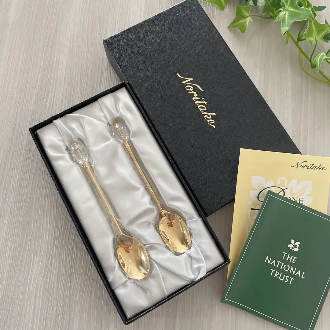 [Boxed] Noritake National Trust Cutlery Spoon Crystal Droplet