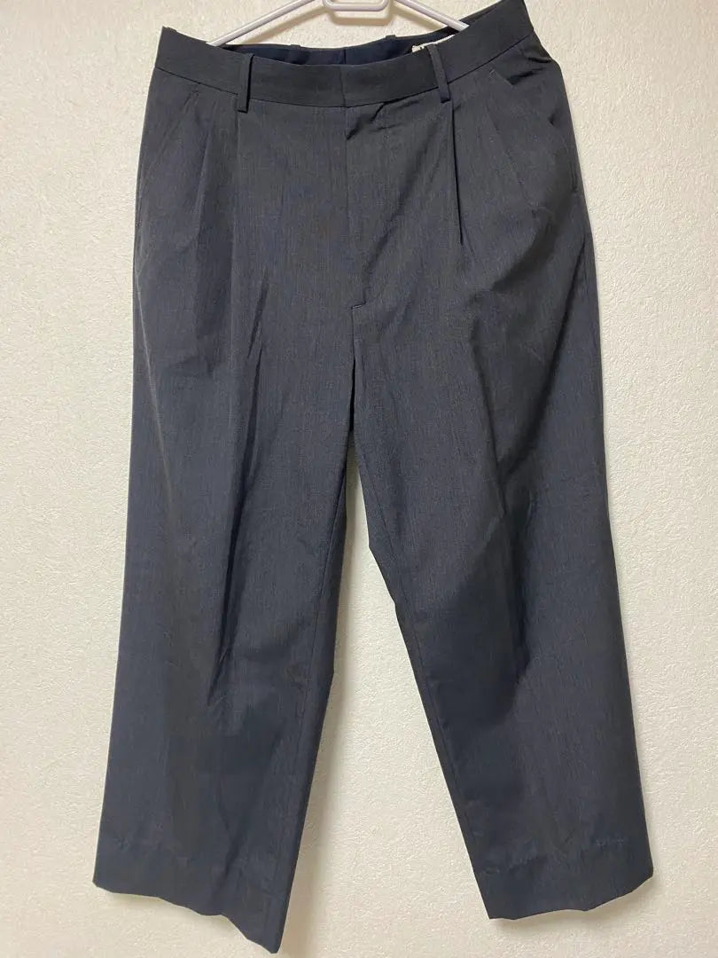 AURALEE WOOL SILK TROPICAL WIDE SLACKS