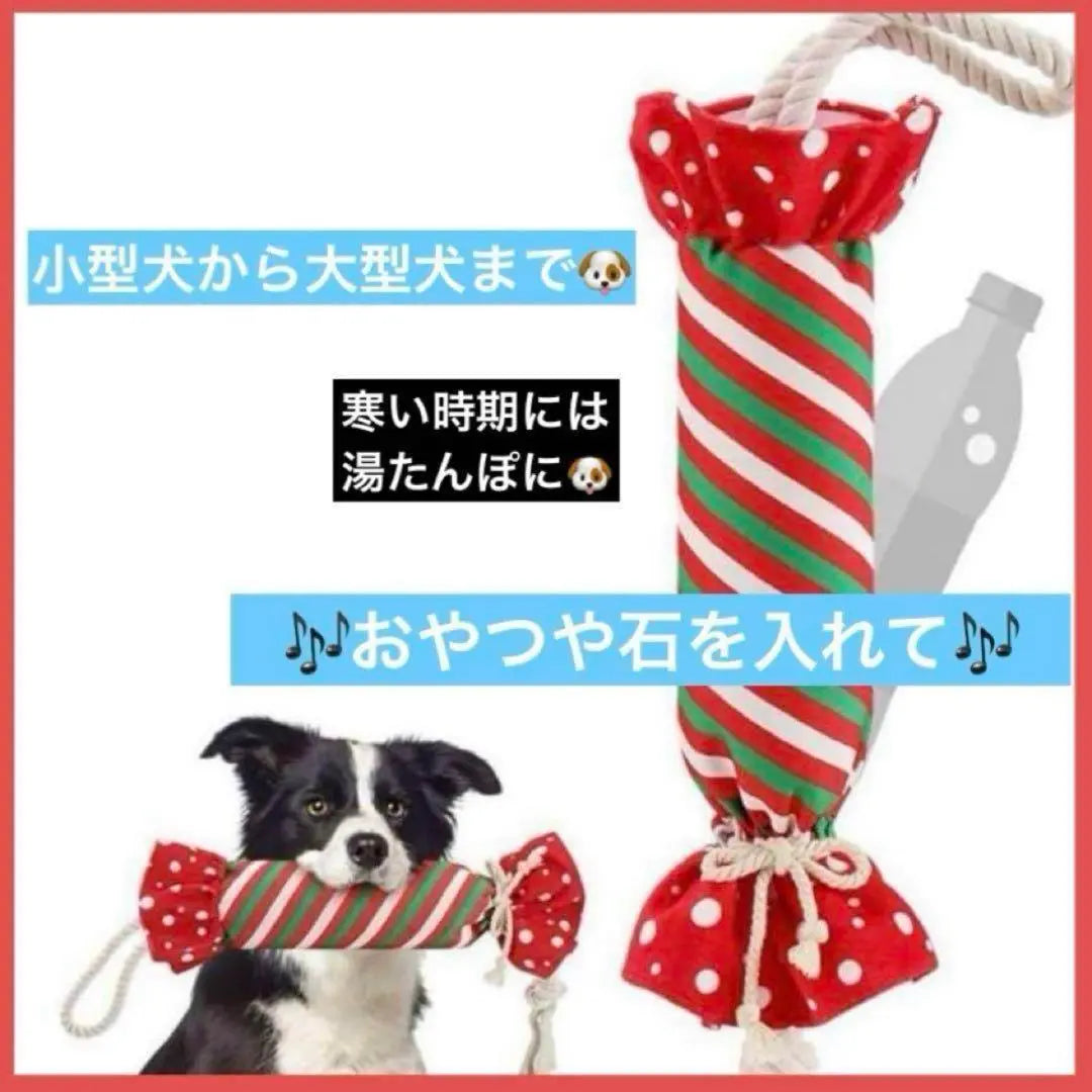 Inuyu Totando Dog Toy Pet Bottle Included Educational toy with Lope | 犬 湯たんぽ 犬おもちゃ ペットボトル入りおもちゃ ロープ付き 知育玩具