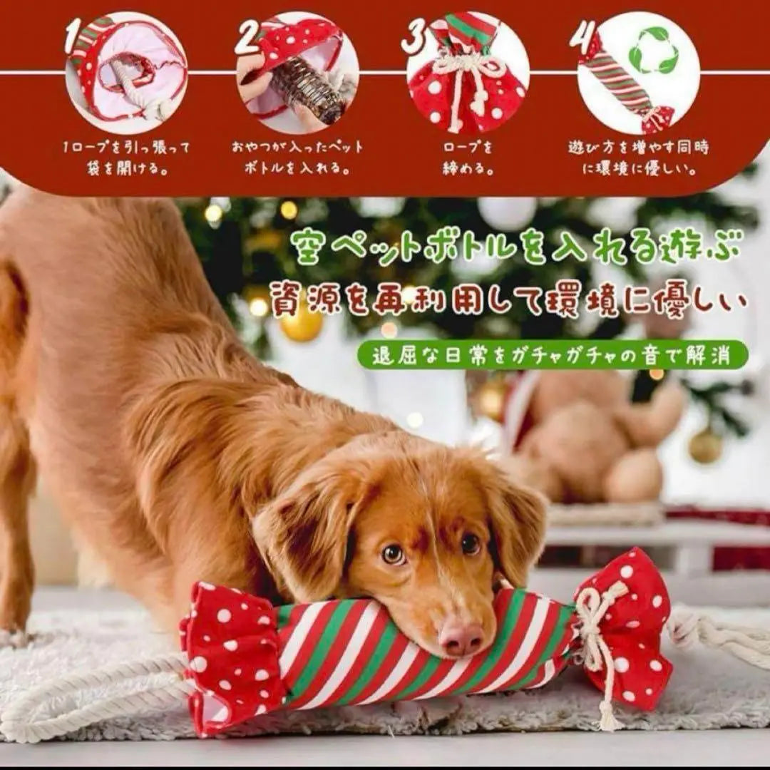 Juguete para Perros Inuyu Totalando Botella para Mascotas Incluida Juguete Educativo con Lope | 犬 湯たんぽ 犬おもちゃ ペットボトル入りもちゃ ロープ付き 知育玩具