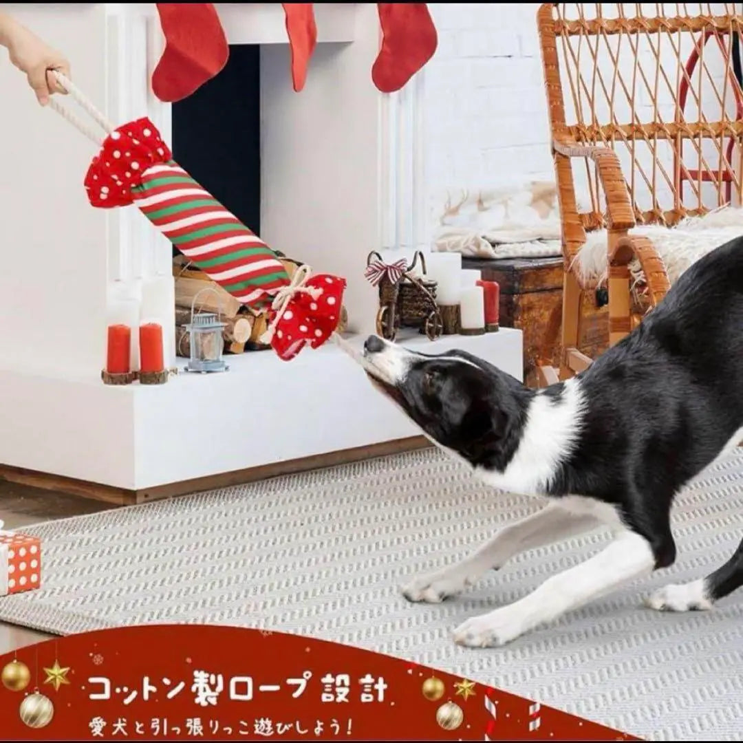 Inuyu Totando Dog Toy Pet Bottle Included Educational toy with Lope | 犬 湯たんぽ 犬おもちゃ ペットボトル入りおもちゃ ロープ付き 知育玩具