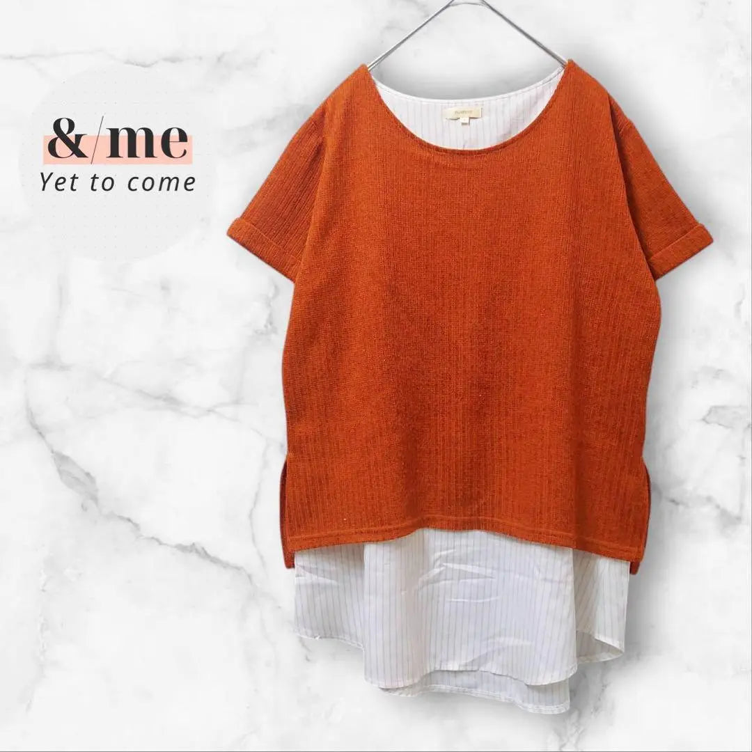 Hash Ash Summer Knit Short Sleeve Top Layered Layered Blouse