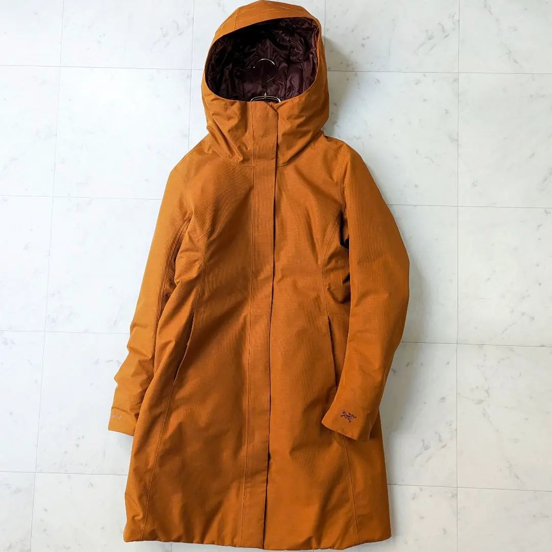 Abrigo de plumón impermeable GORE-TEX de Arc'TERYX en perfecto estado