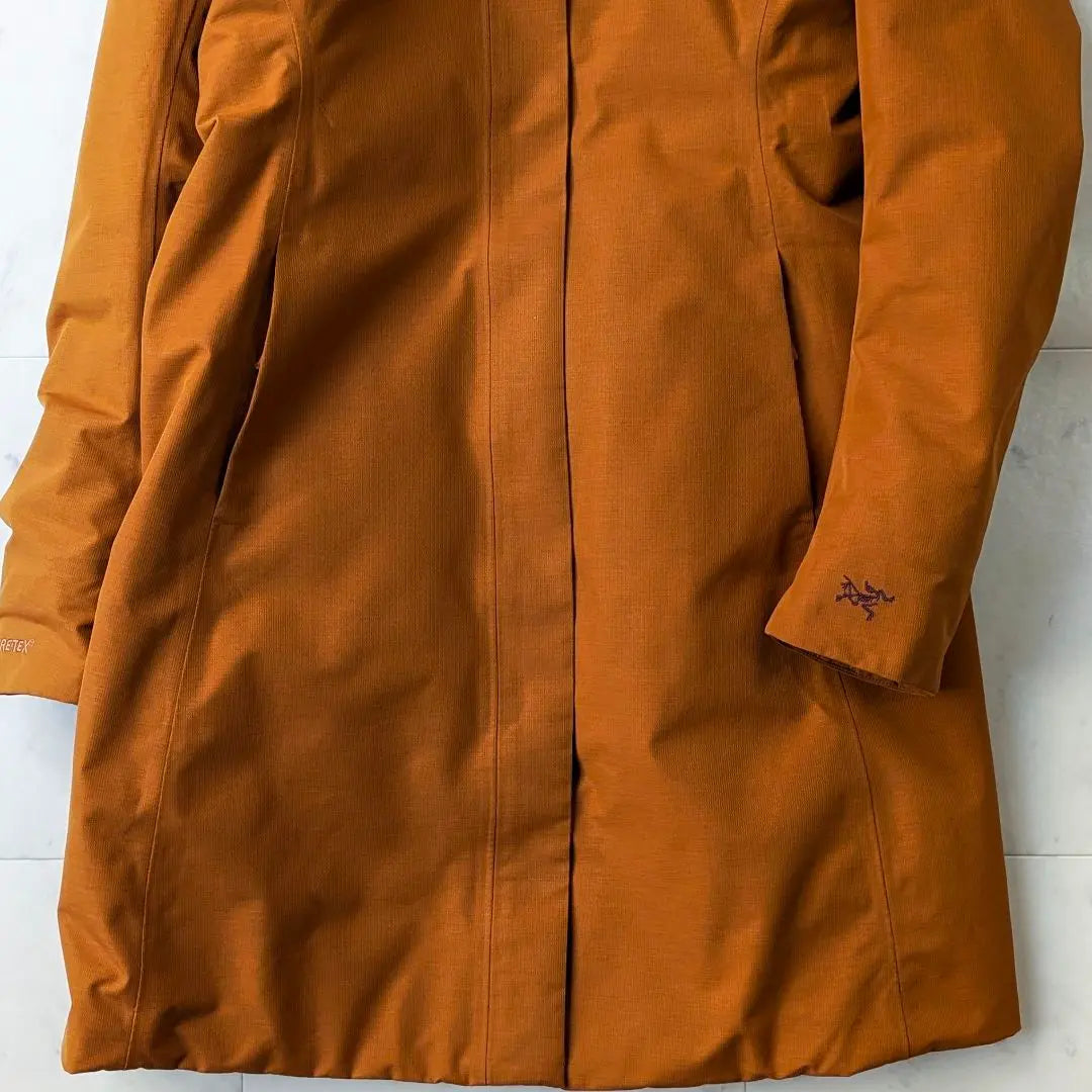 Abrigo de plumón impermeable GORE-TEX de Arc'TERYX en perfecto estado