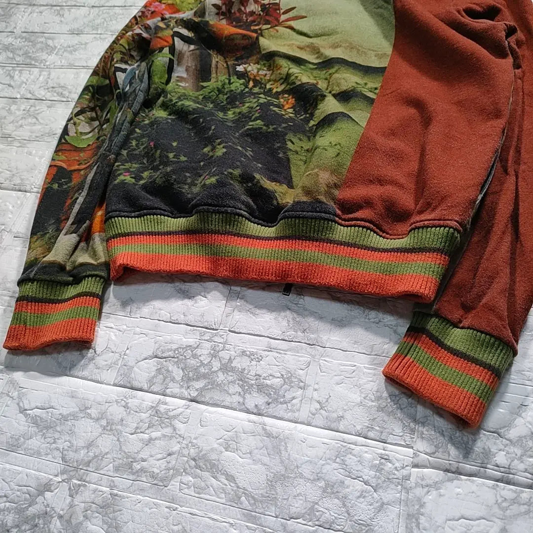 [Rare and beautiful condition] Etro Transfer Printed Hoodie Cat Landscape Painting L