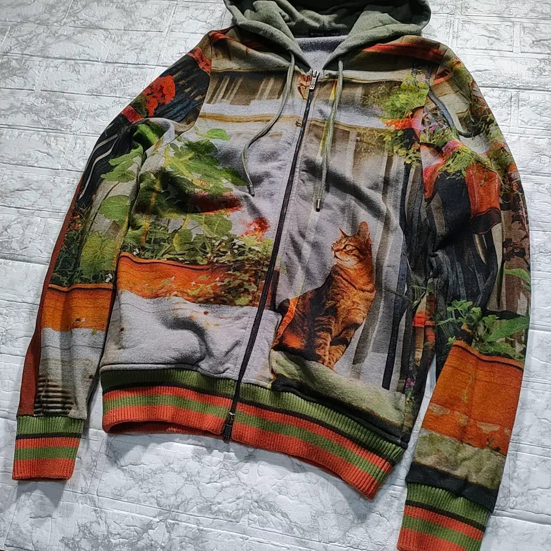 [Rare and beautiful condition] Etro Transfer Printed Hoodie Cat Landscape Painting L